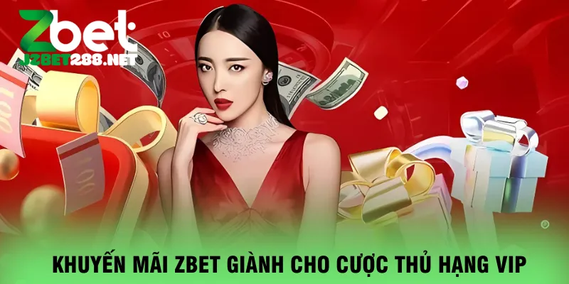 khuyen-mai-zbet-gianh-cho-cuoc-thu-hang-vip