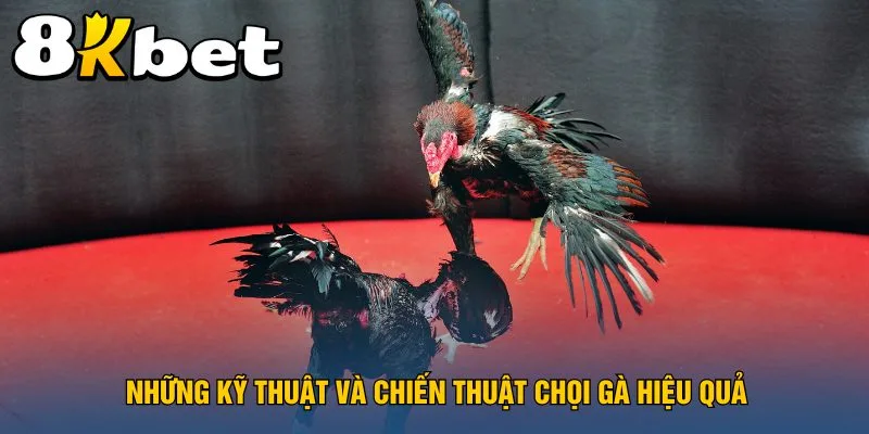 nhung-ky-thuat-va-chien-thuat-choi-ga-hieu-qua