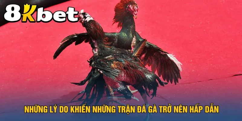 nhung-ly-do-khien-nhung-tran-da-ga-tro-nen-hap-dan